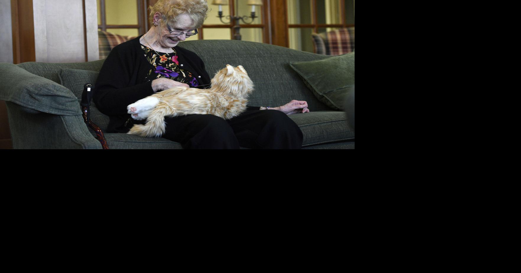 Animatronic pets at retirement homes a sign of the future