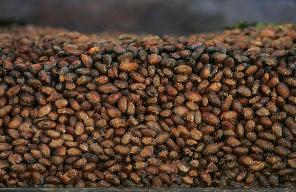 Cacao