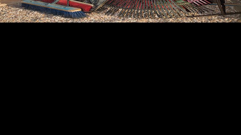 Around the Town: Workshop series to teach high-altitude gardening