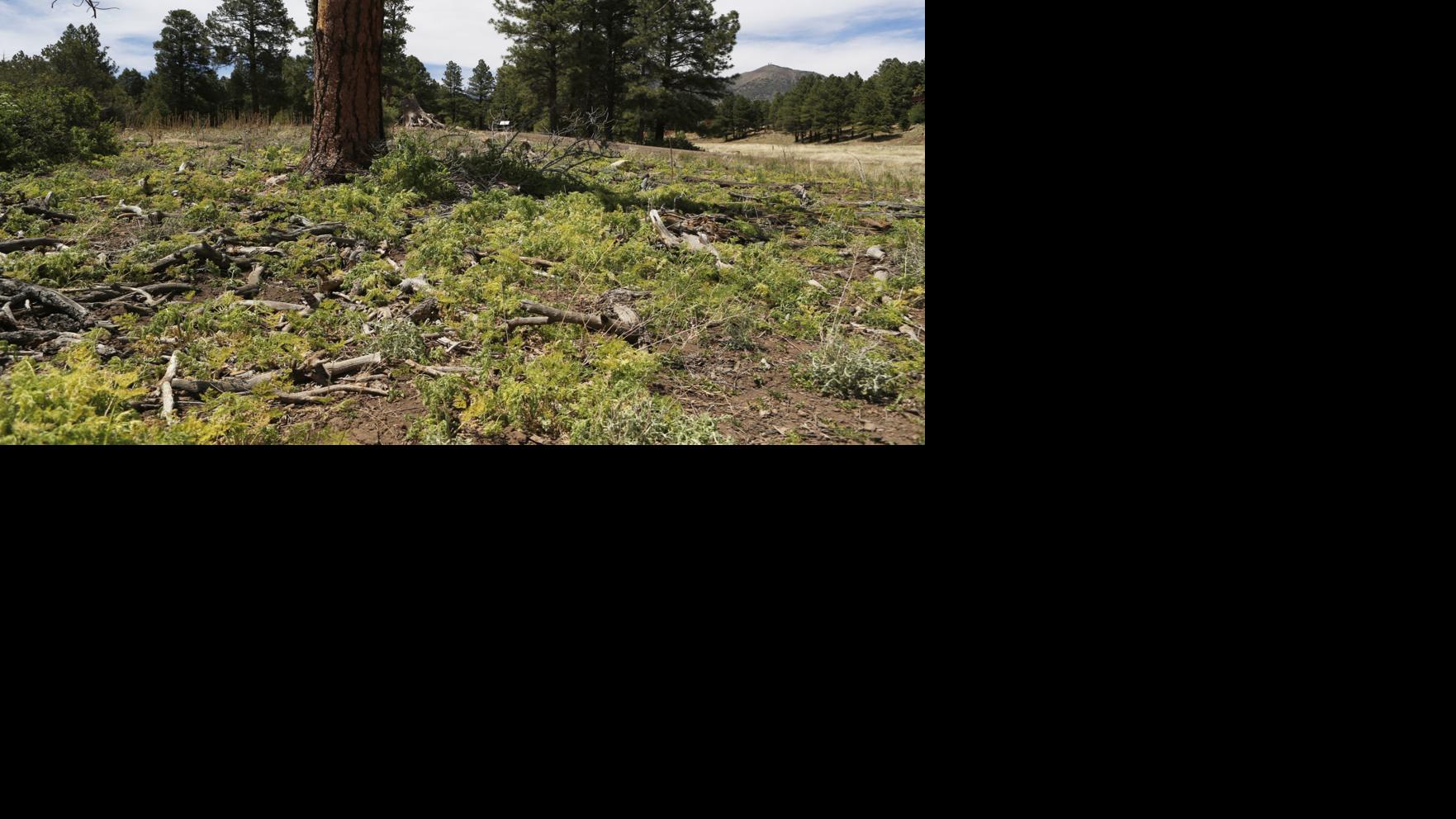 The wild outside our front doors