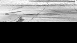 Flagstaff History: War Department sought 6,000 recruits for Forest Regiment