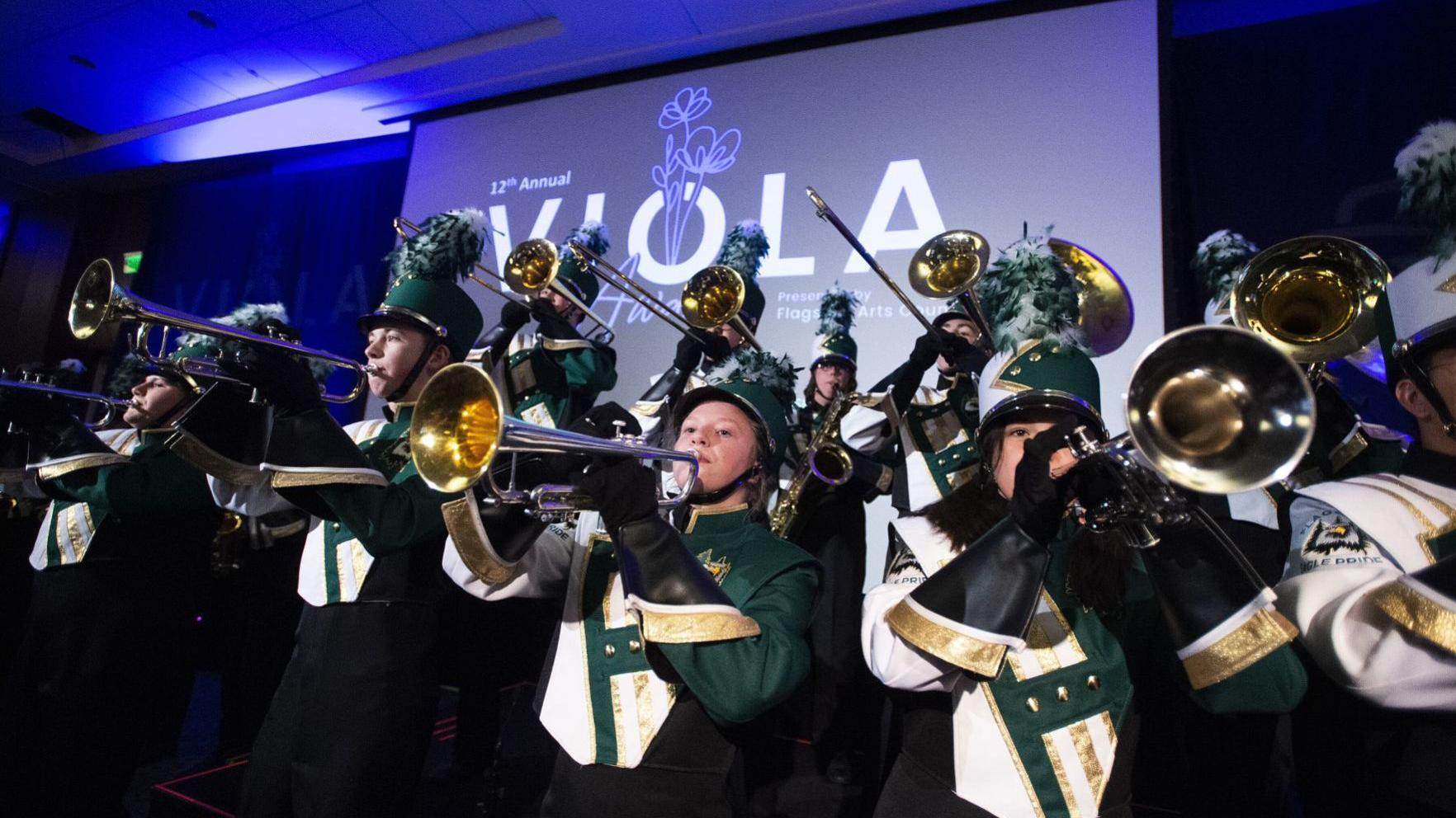Where art and science meet in style : 12th Annual Viola Awards honor Flagstaff minds