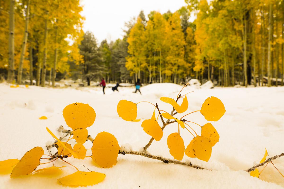 Gold Everywhere