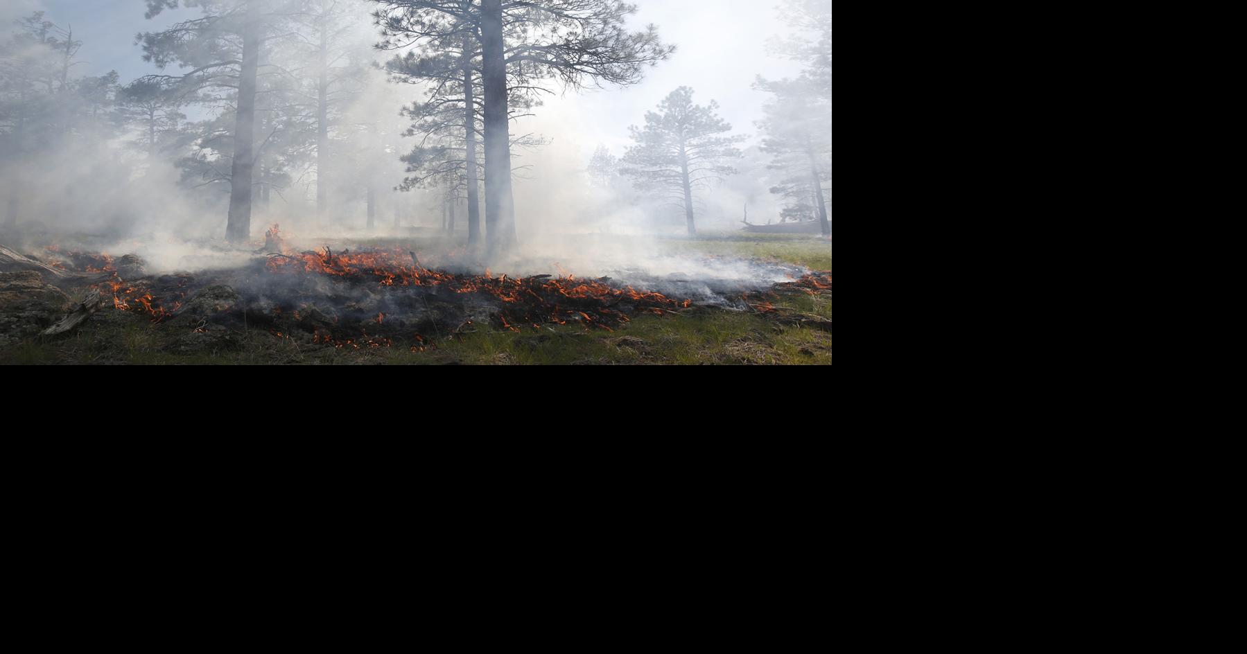 Stage 2 fire restrictions to begin Wednesday for City of Flagstaff ...