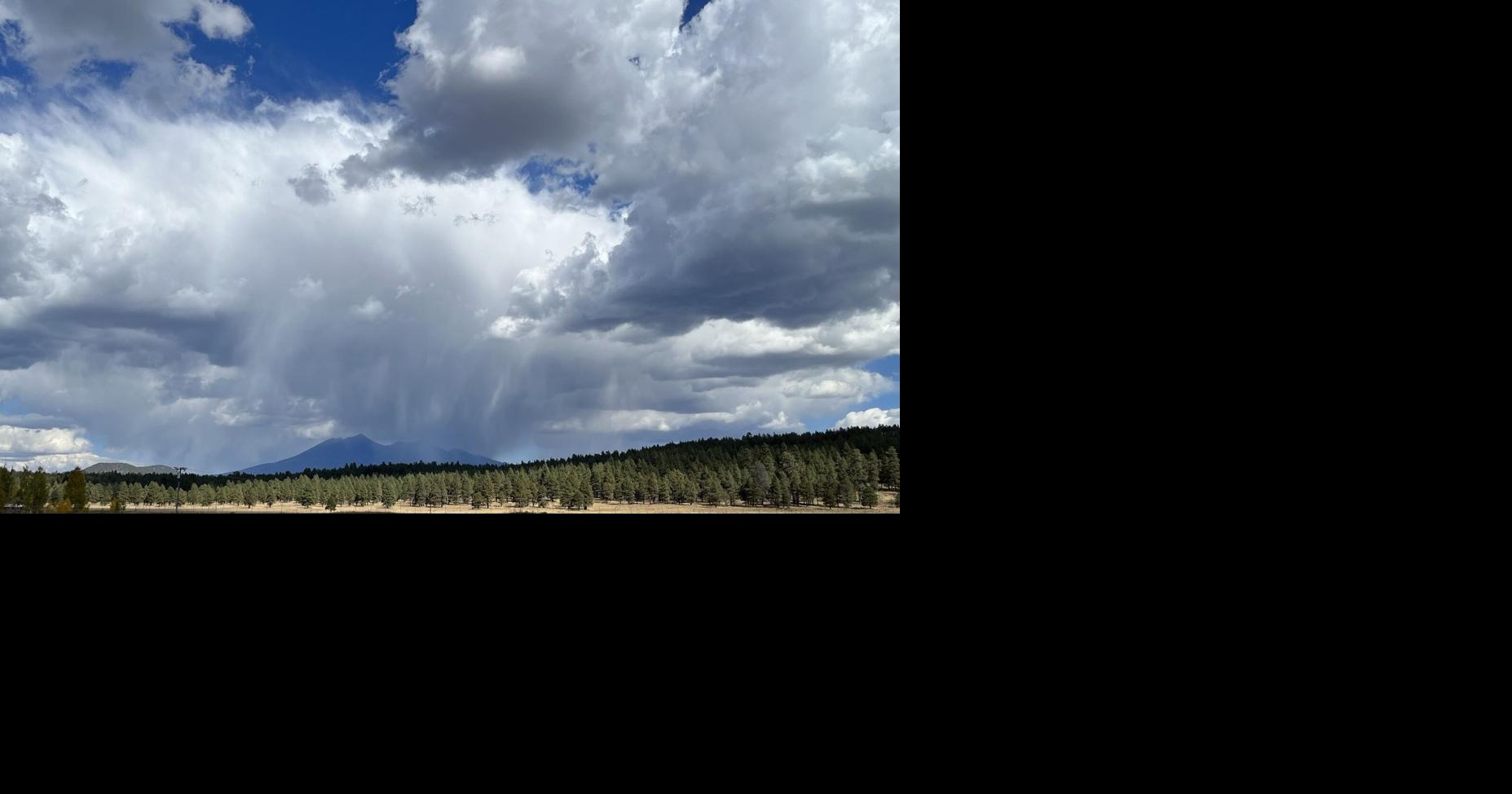 Gardening Etcetera: Gardening during the monsoons