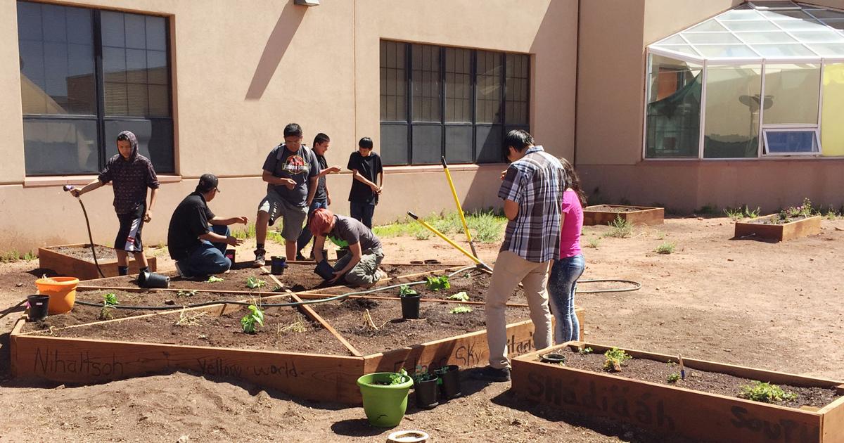 Food insecurity amid COVID-19 prompts Native Americans to return to ...