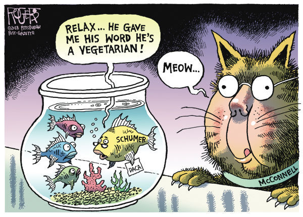 Hungry Cat
