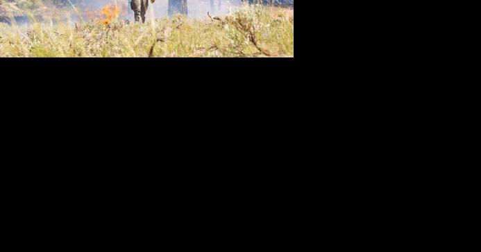 Kaibab National Forest outlines planned prescribed burns through winter - Vimarsana News