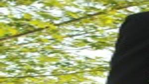 Ross -- Reynolds | Weddings | azdailysun.com, image size:1200x675