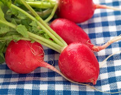 FOOD-RADISHES-DMT