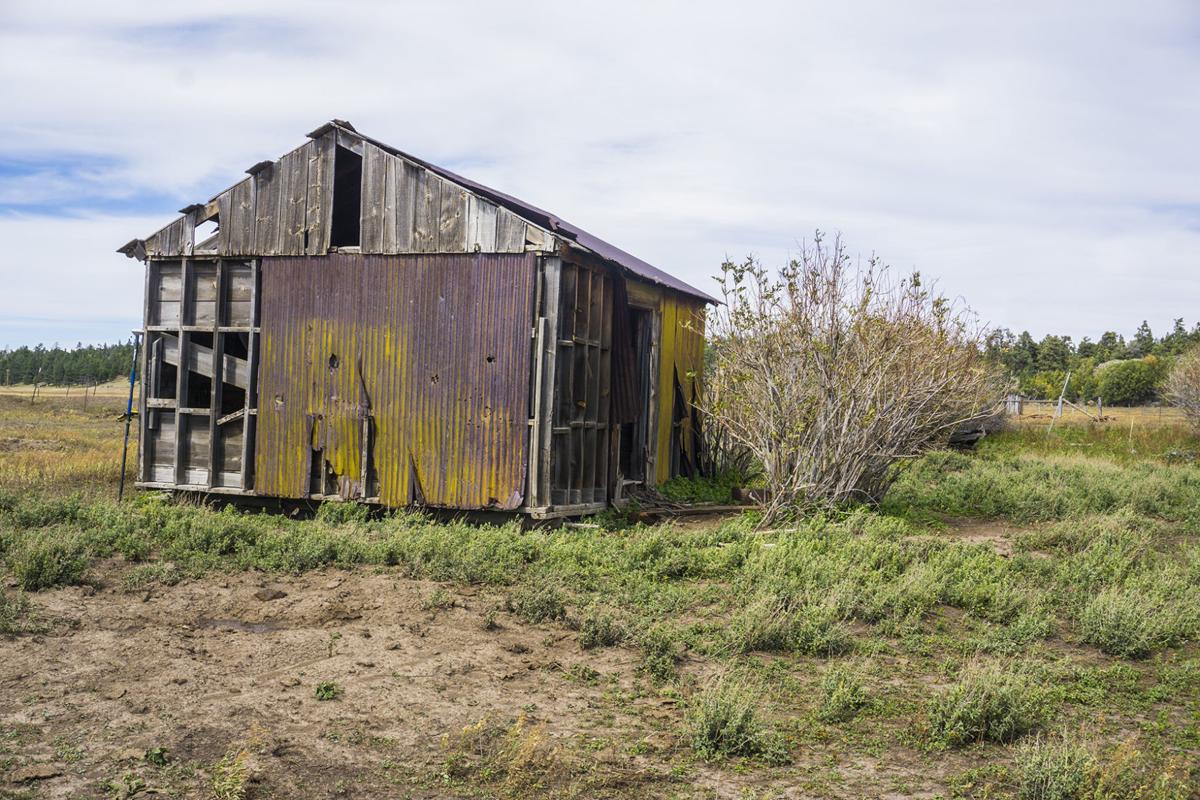 Dairy Barn
