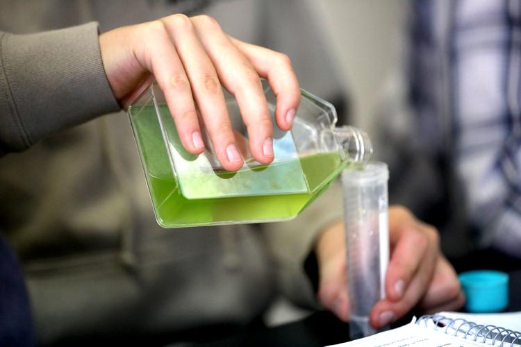 Flagstaff Junior Academy middle schoolers grow algae in science labs Education