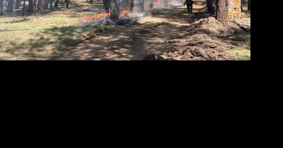 Wolf Fire operations wrap up following 10,000 acres of forest treatment