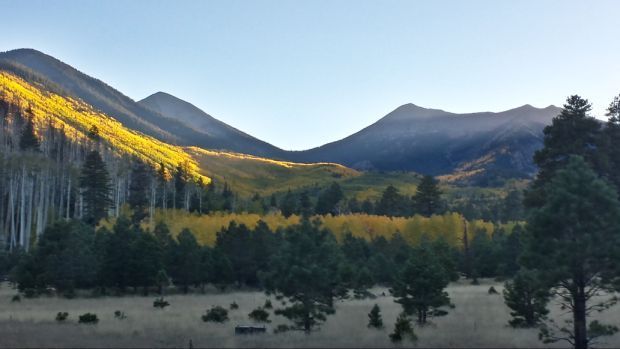Lockett Meadow fall