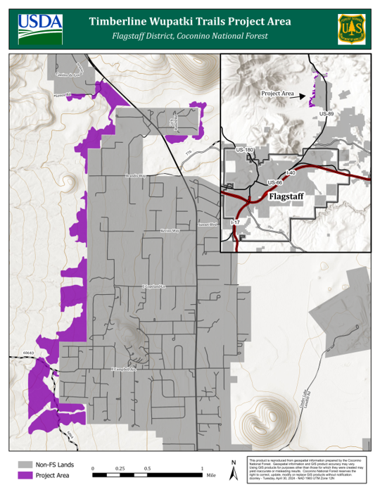 Forest restoration work to begin northeast of Flagstaff Local News