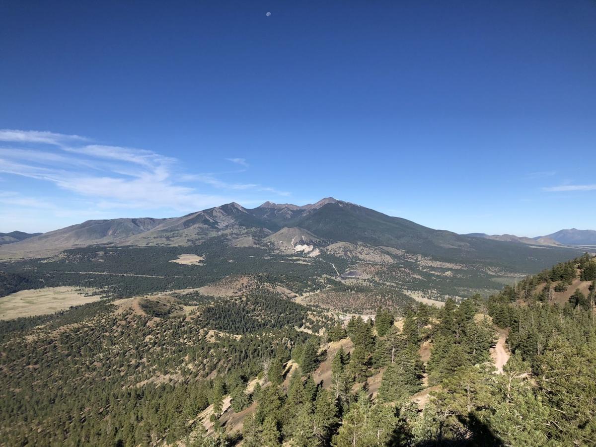A Breath Of Fresh Air Flagstaff Trails Remain Accessible For Mental And Physical Health Boosts Azdailysun Com