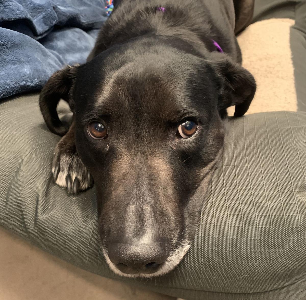 Molly