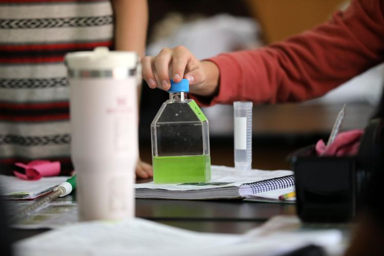 Flagstaff Junior Academy middle schoolers grow algae in science labs Education
