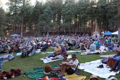 Pickin' in the Pines