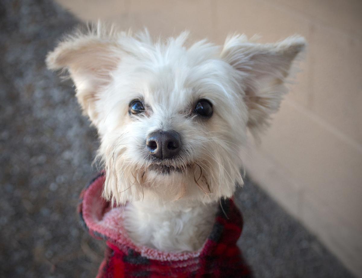 maggie mae