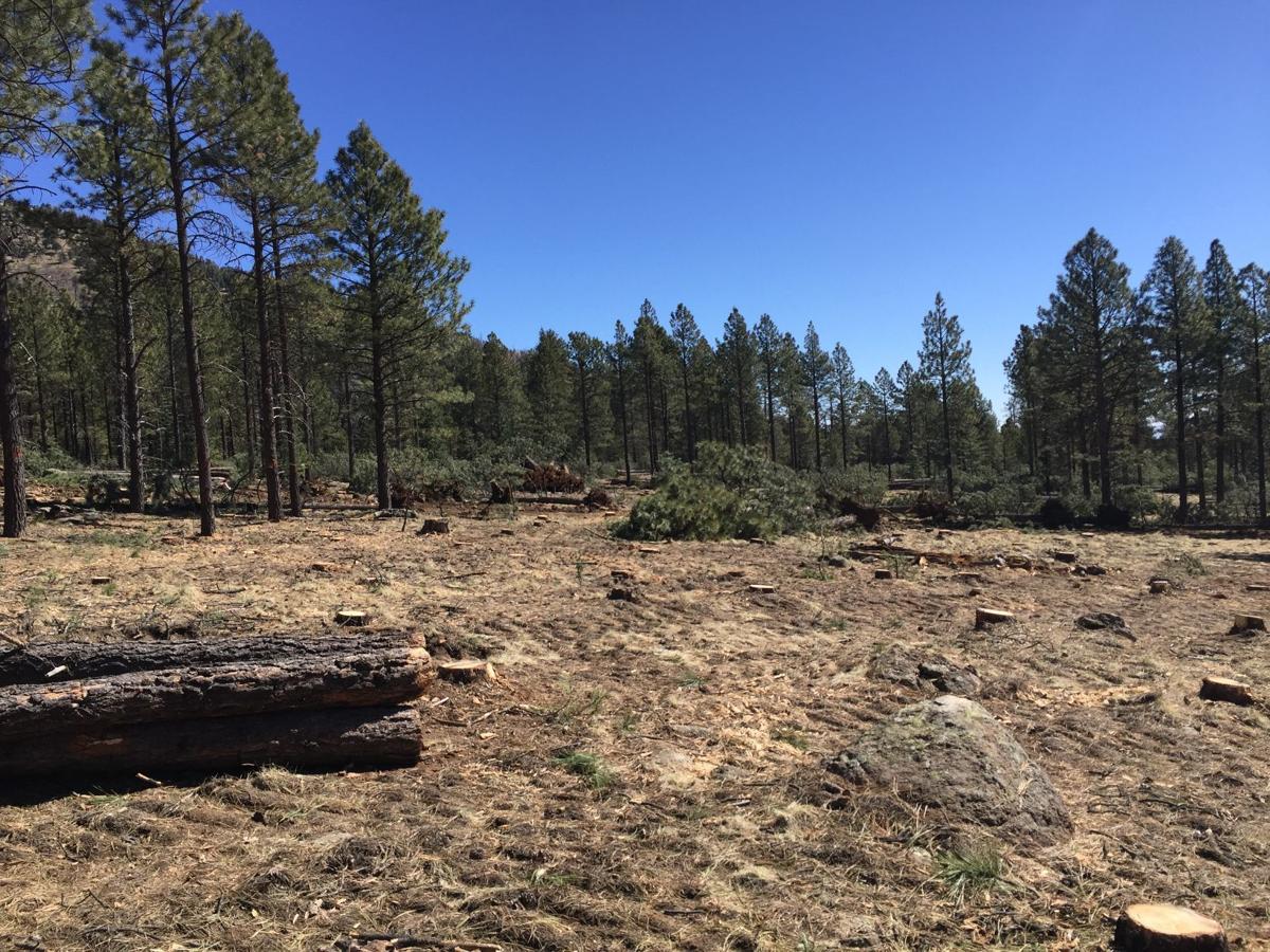 Trails close as Flagstaff watershed protection work starts Local