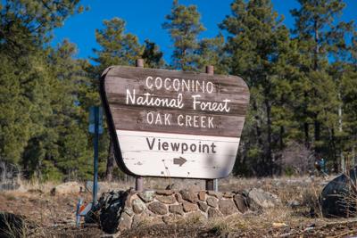 Coconino National Forest