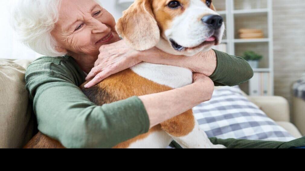 30 great dog breeds for seniors