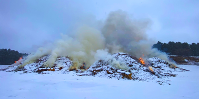 Willard Springs Ignition