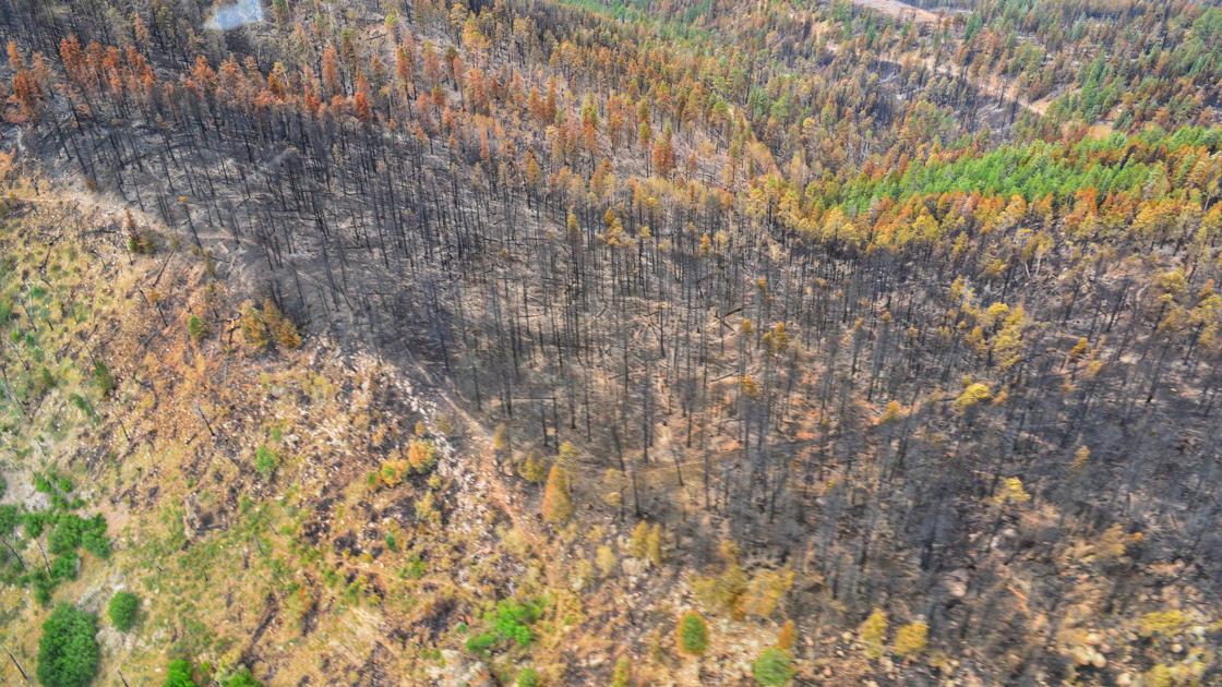 flagstaffwatershedprotection