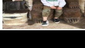 Sheriff's Office: Young teenager missing from Kachina Village