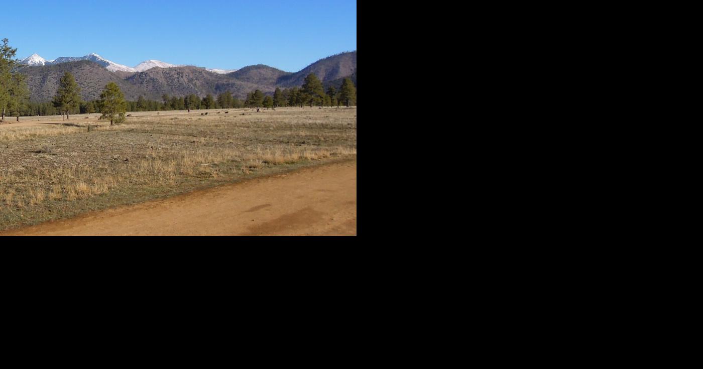 High Country Running: Saving Buffalo Park: the conclusion