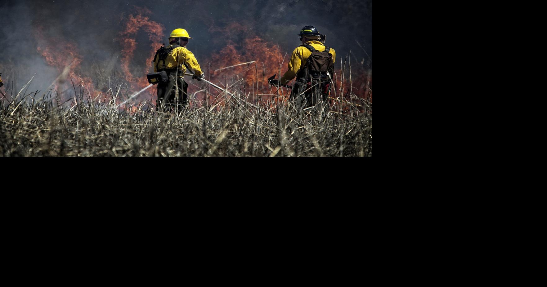 Coconino National Forest moves to stage 2 fire restrictions | Local ...