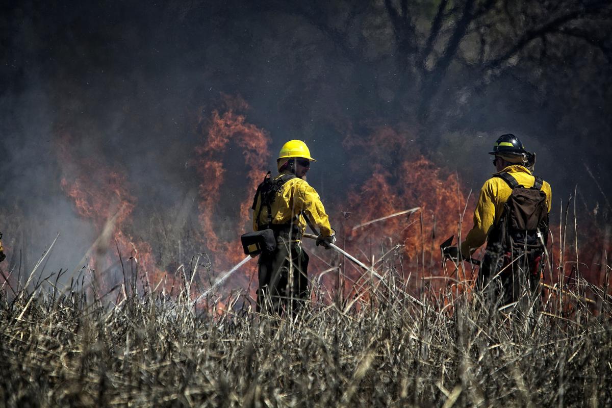 Wildfires 1