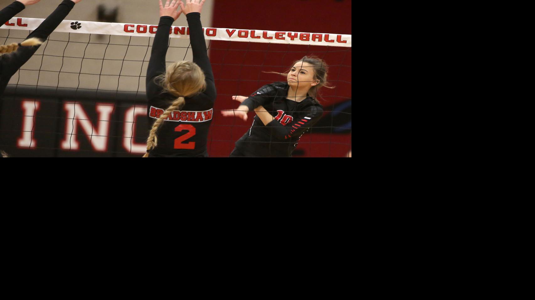 Panthers volleyball dominates Bears in home sweep