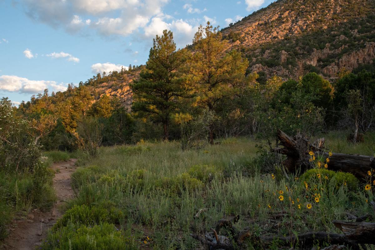 Mount Elden