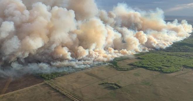 Arizona utilities begin sending wildfire mitigation plans to next stages