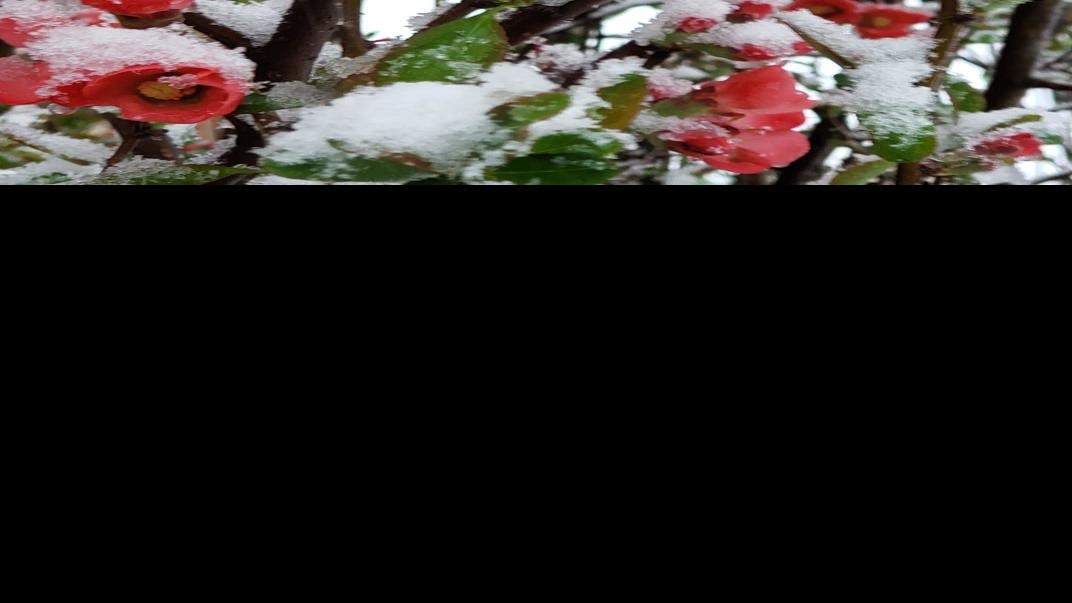 May sees above average moisture with snow on the way