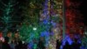 around the town christmas lights go on friday at little little america flagstaff christmas lights
