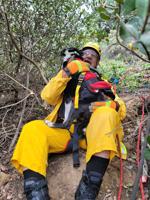 Deaf dog rescued after falling down California ravine, family calls it a 'miracle'