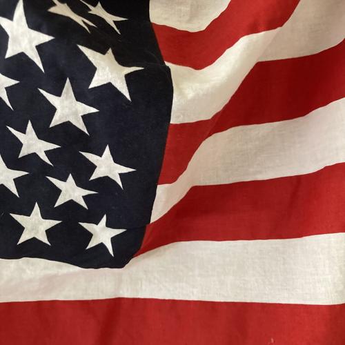 LFH My Imperfect America.JPEG