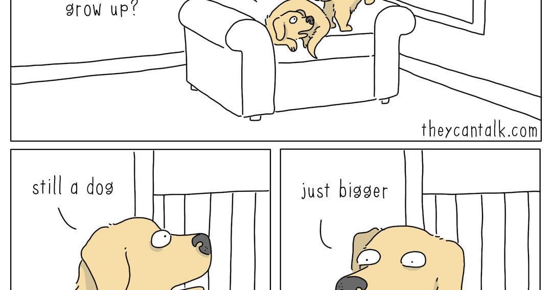 They Can Talk