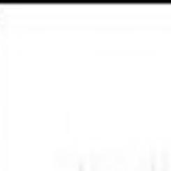 Basset Hounds Going From Couch Potatoes To Hunters Azdailysun Com