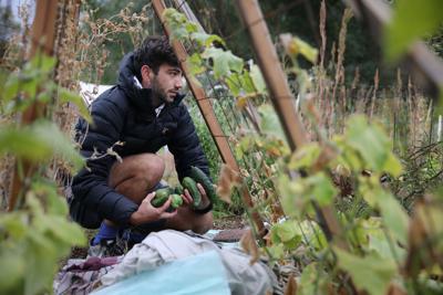 Bonito Community Garden 2021