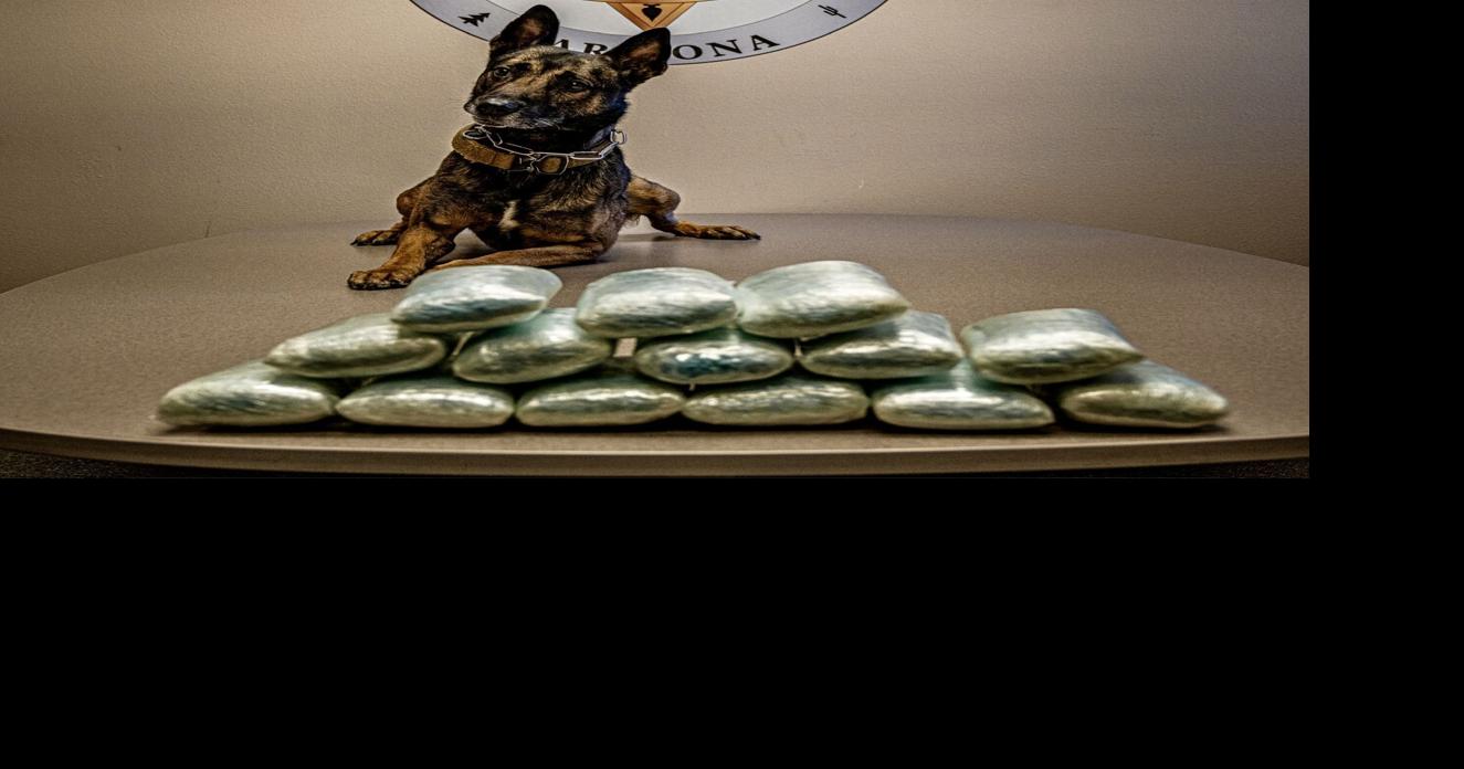 Coconino County Sheriff's Office receives more than $500,000 for anti ...