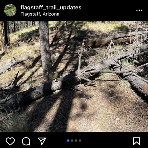 Flagstaff Trail Updates