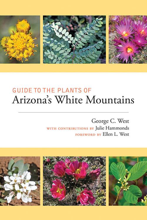 Guide To The Plants Of Arizona S White Mountains Accessible Entry Into World Of Botany Books And Literature Azdailysun Com