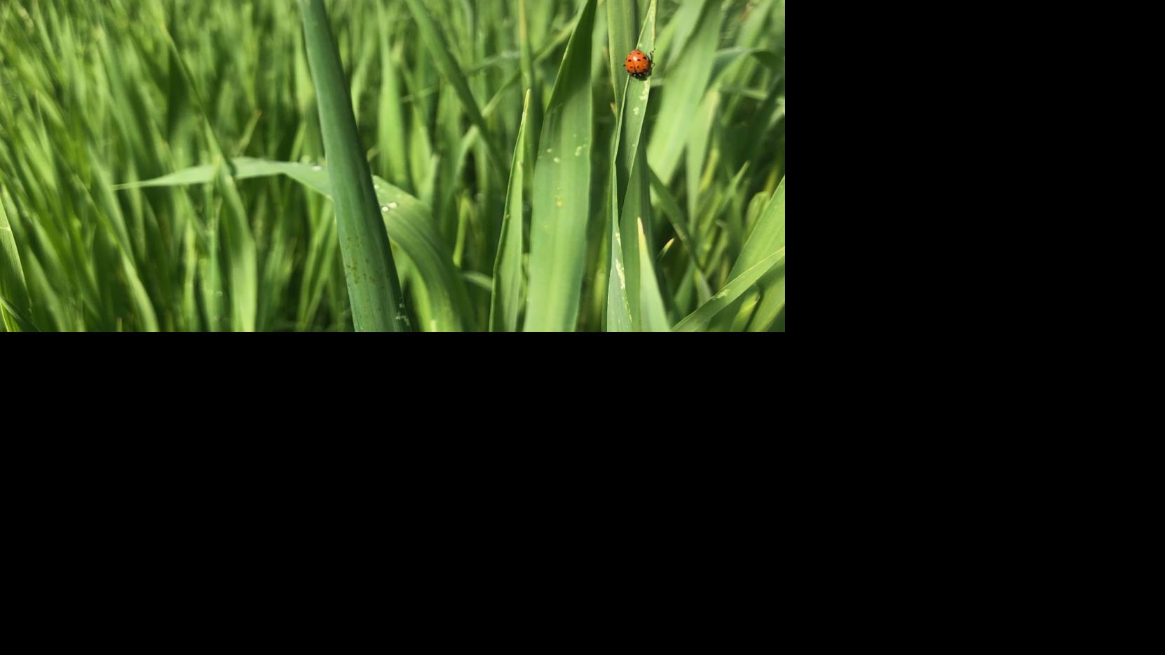 The intricate web: Farms and people need one another