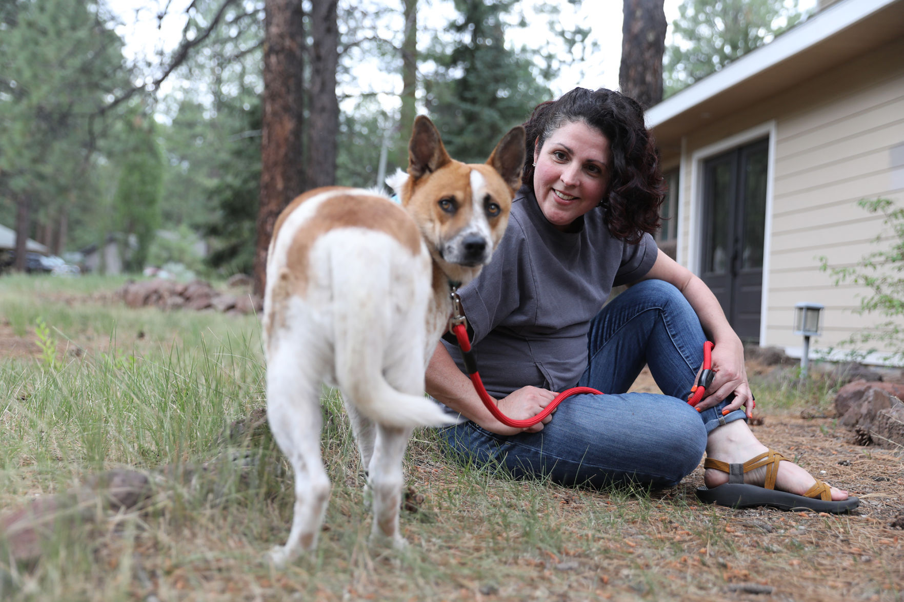 Fostering a bond: What it takes to prepare shelter dogs and cats