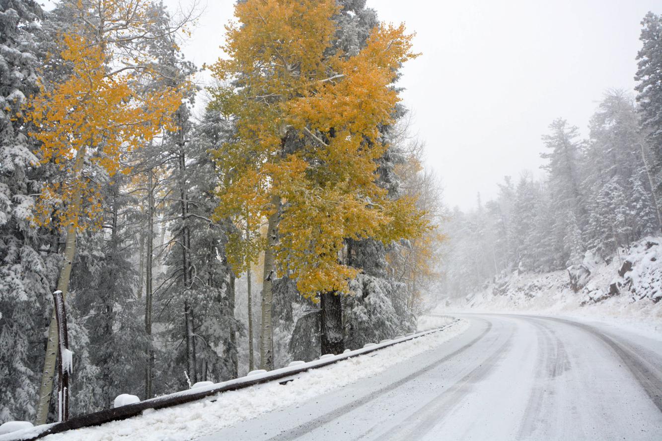 First snowfalls in Flagstaff over the years News