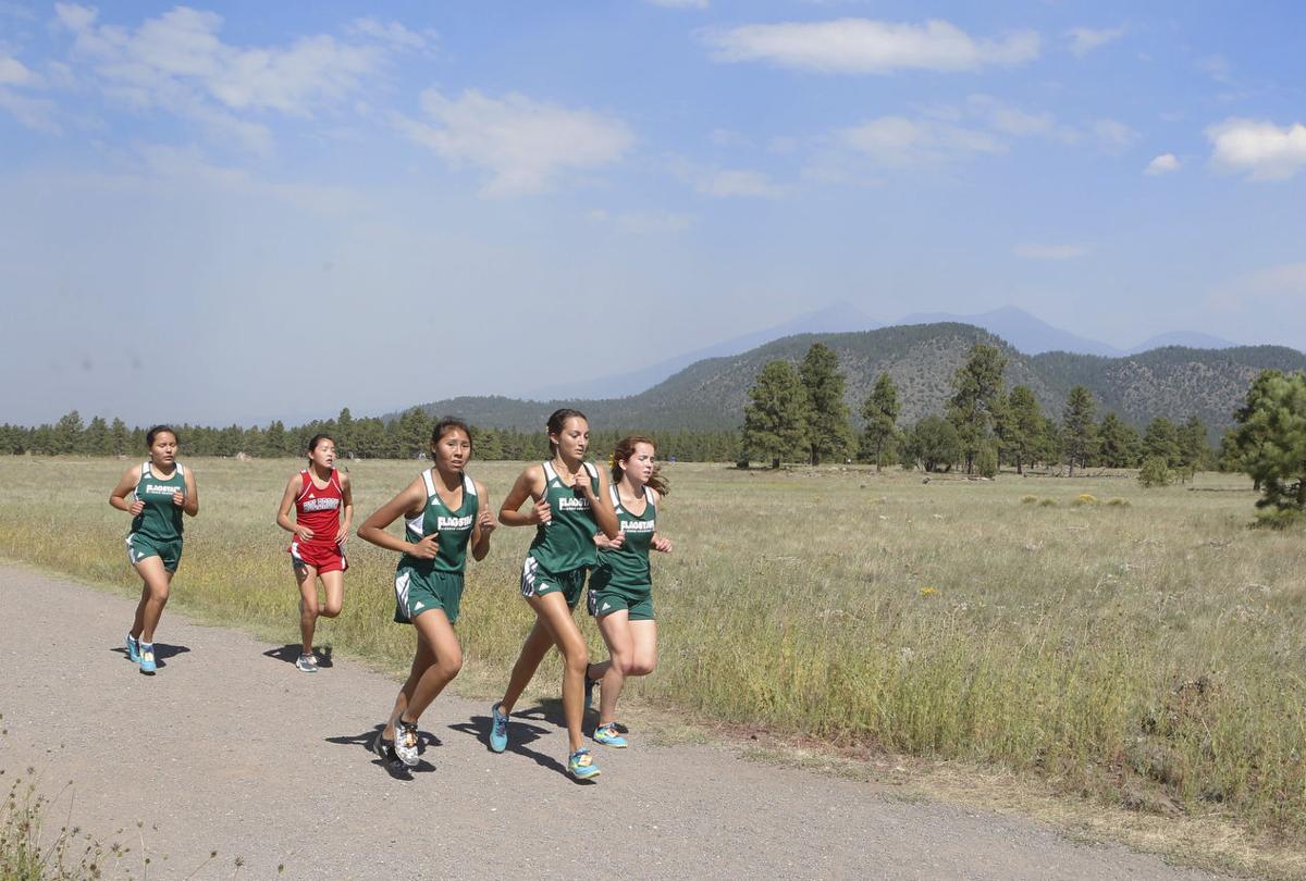 Leading The Pack